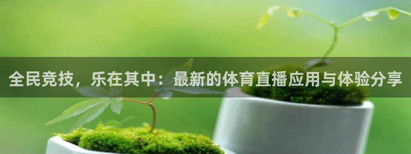 柠檬体育直播在线观看免费：全民竞技，乐在其中：最新的体育直播应用与体验分享