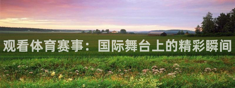 足球直播柠檬体育：观看体育赛事：国际舞台上的精彩瞬间