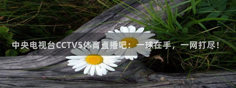 柠檬直播吧足球：中央电视台CCTV5体育直播吧：一球在手，一网打尽！