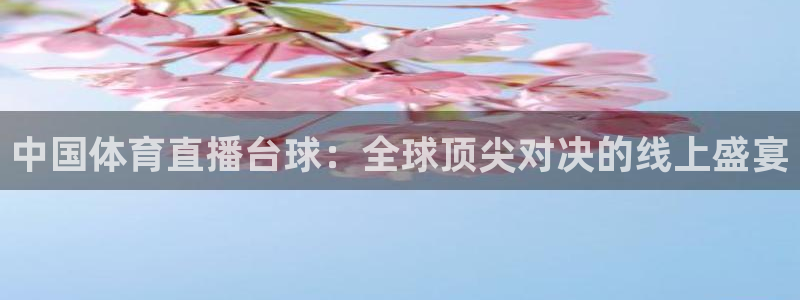 柠檬体育免费高清直播：中国体育直播台球：全球顶尖对决的线上盛宴