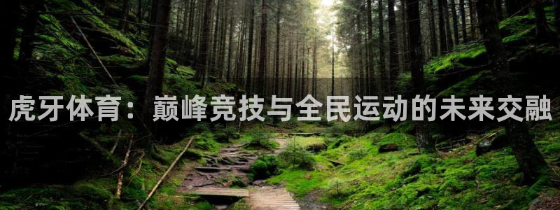 柠檬直播nba篮球在线观看：虎牙体育：巅峰竞技与全民运动的未来交融