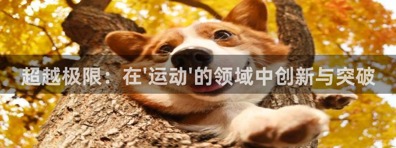柠檬直播 体育：超越极限：在\'运动\'的领域中创新与突破