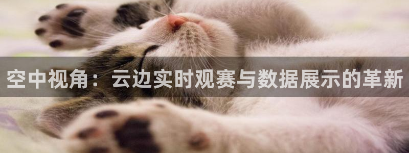 柠檬体育直播官网：空中视角：云边实时观赛与数据展示的革新