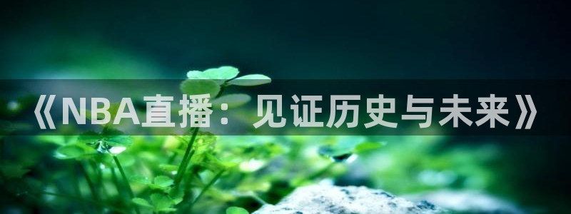 柠檬直播吧足球：《NBA直播：见证历史与未来》