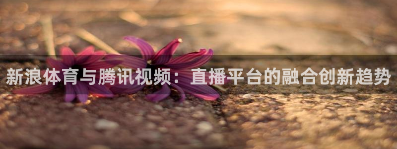 柠檬tv直播：新浪体育与腾讯视频：直播平台的融合创新趋势